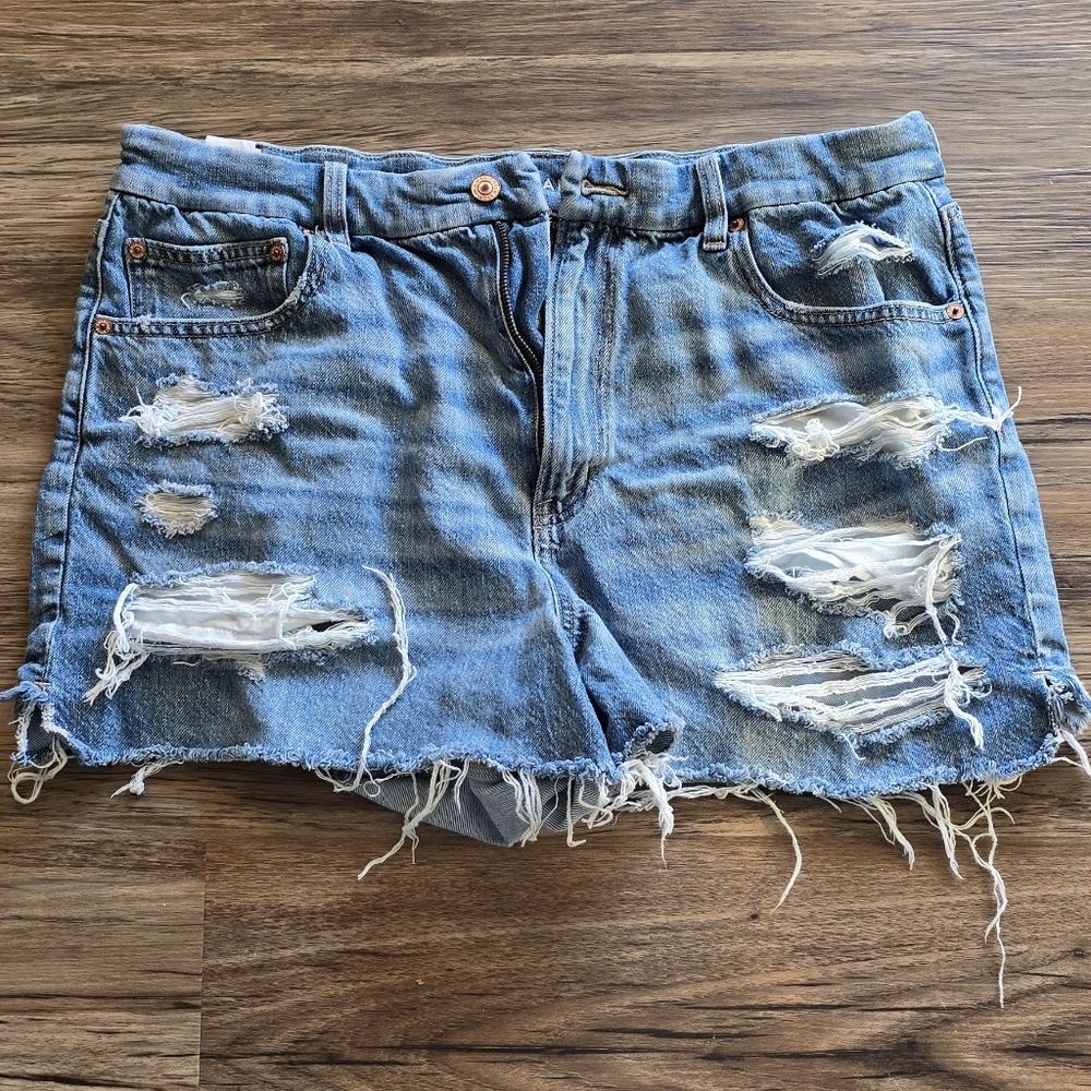 American Eagle Outfitters Distressed Light Blue Denim Jean Shorts